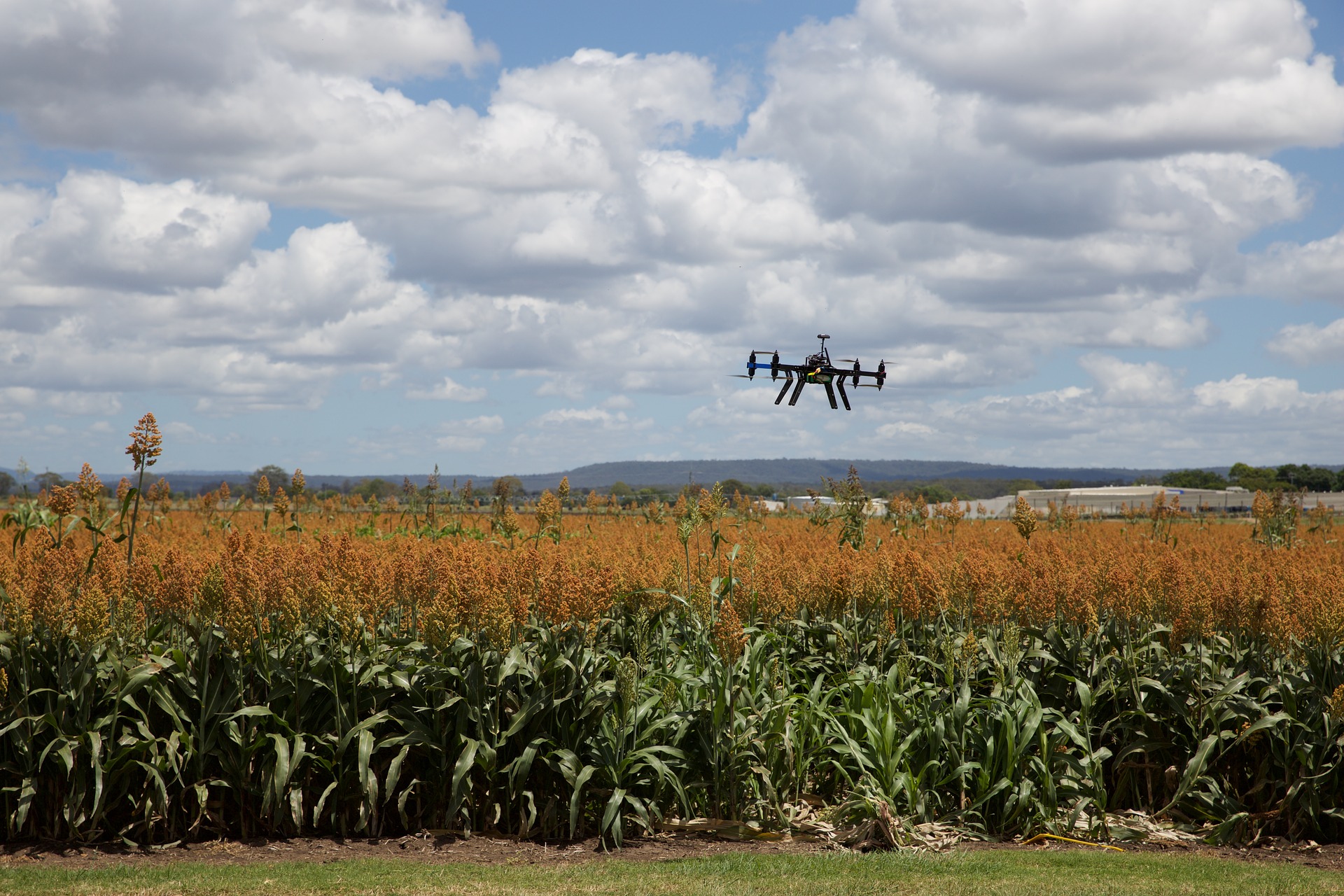 https://sniper.horasis.org/wp-content/uploads/2021/05/agriculture-3182252_1920.jpg