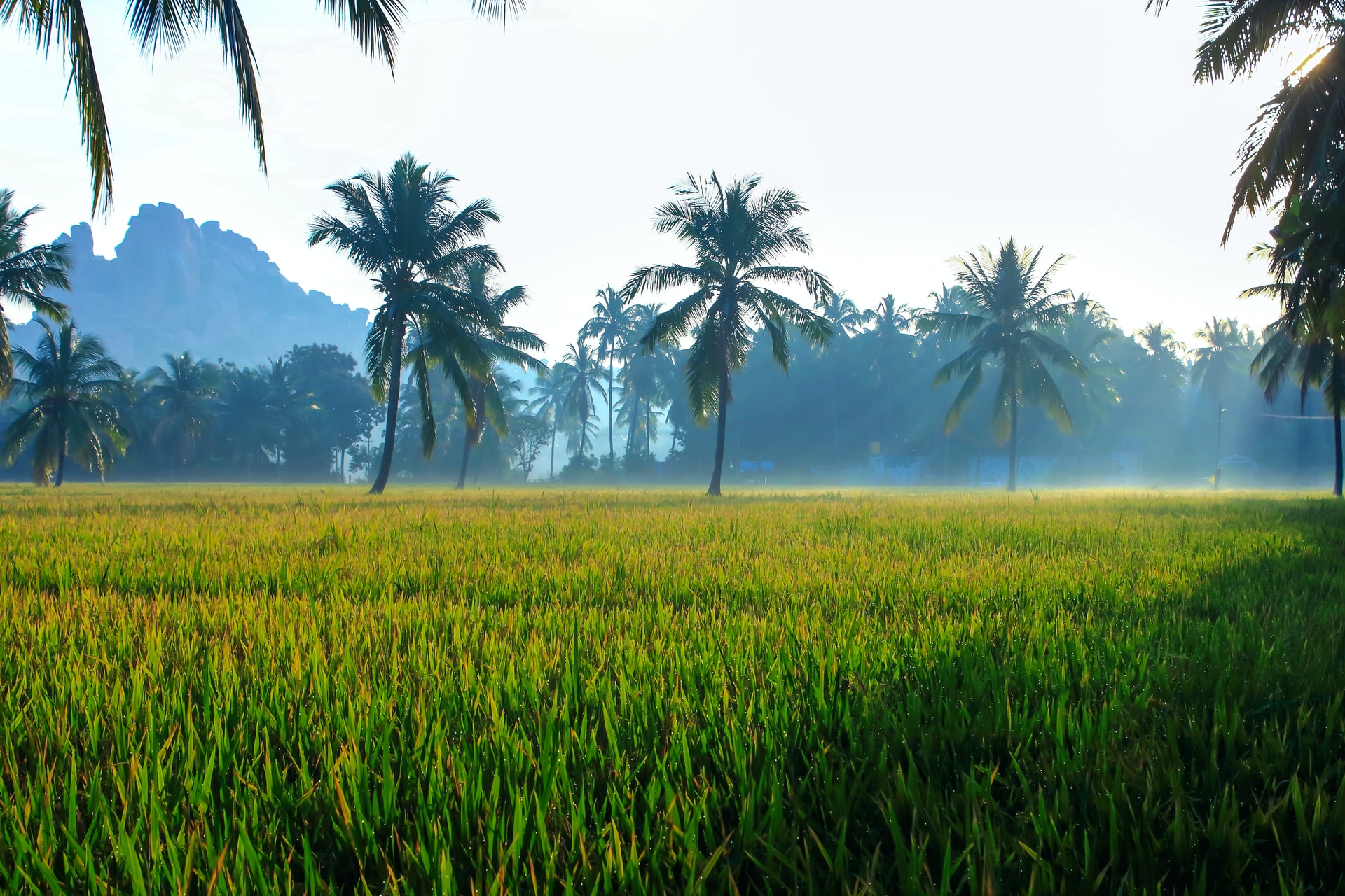 https://sniper.horasis.org/wp-content/uploads/2021/07/nandhu-kumar-03JtNfCubFw-unsplash-1.jpg