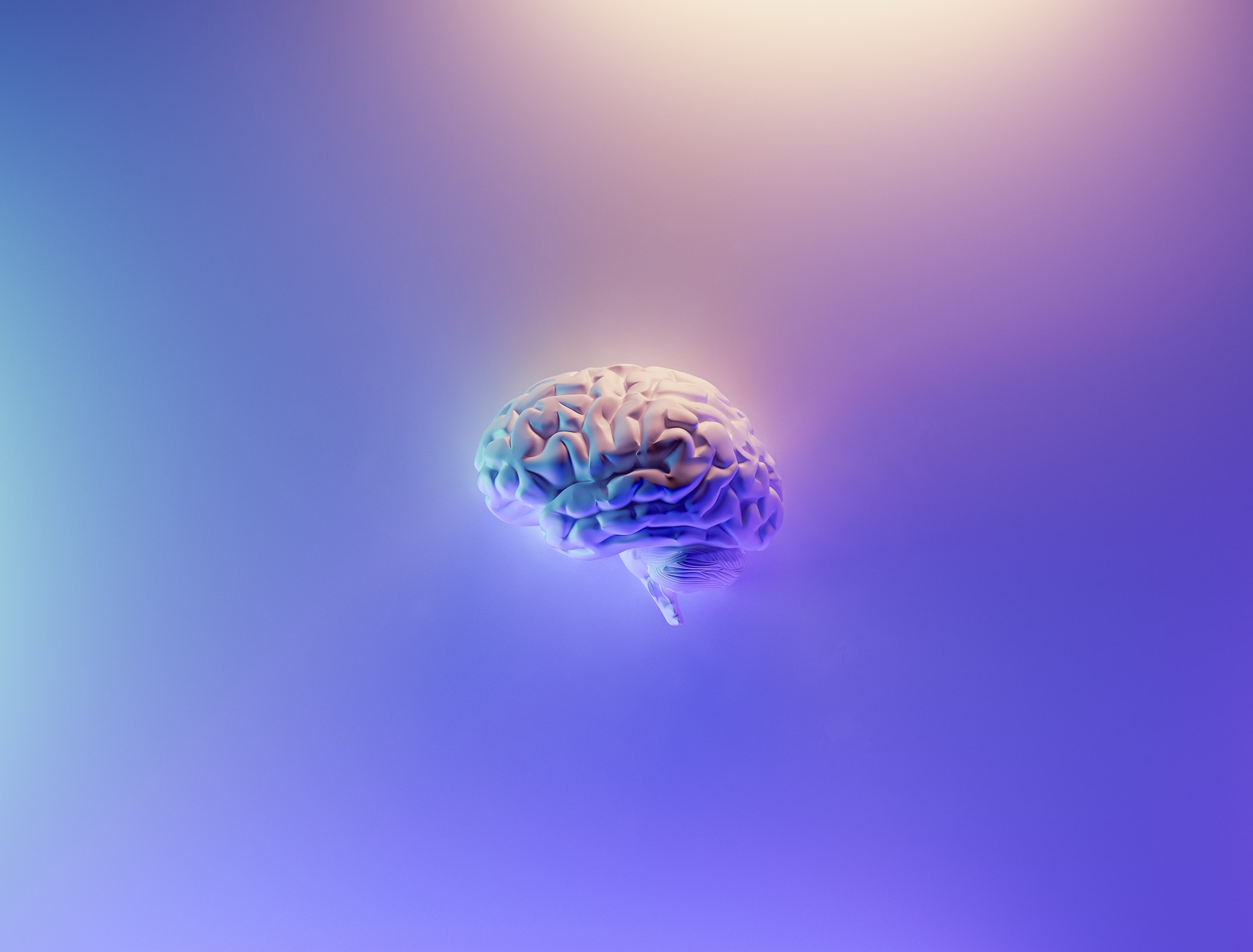 https://sniper.horasis.org/wp-content/uploads/2023/05/milad-fakurian-58Z17lnVS4U-unsplash.jpg