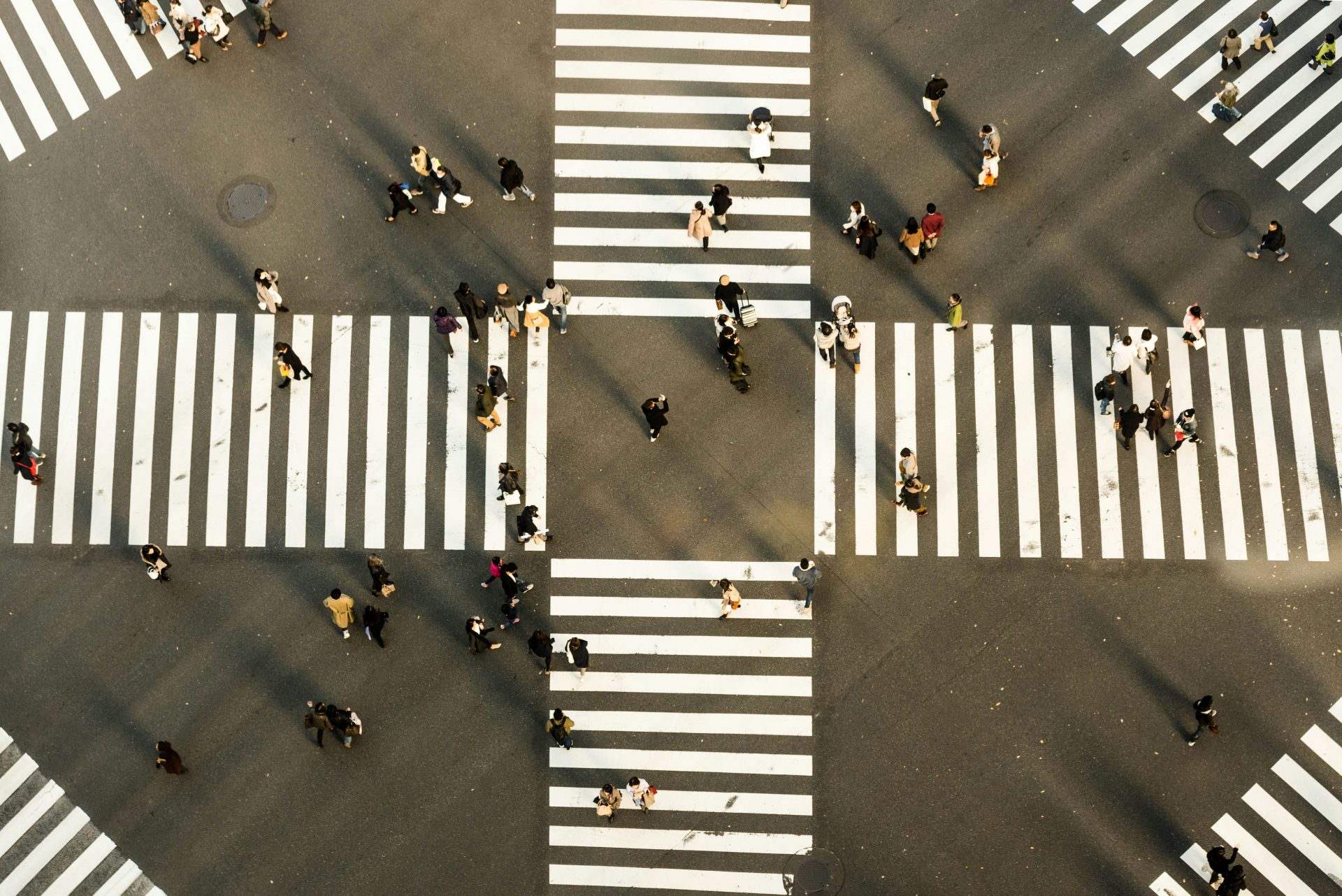 https://sniper.horasis.org/wp-content/uploads/2025/09/ryoji-iwata-wuCNi2XfBeE-unsplash.jpg